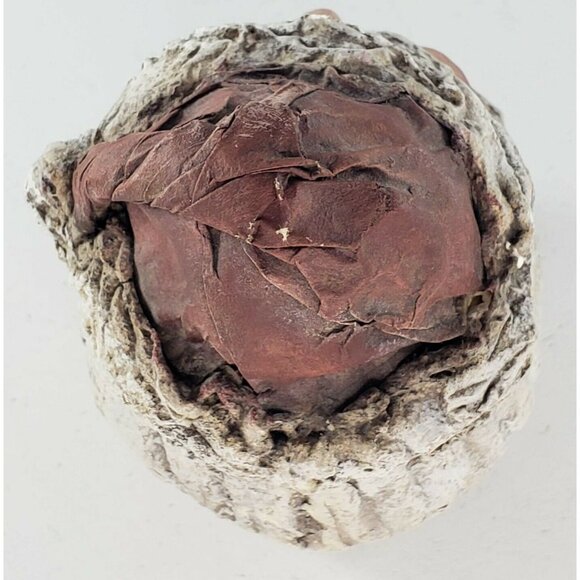 Arlene A Wobler Santa Father Christmas Figure Primitive Folk Art Old World 1993 - Picture 6 of 7